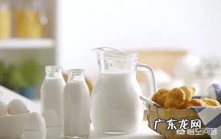 蛋白粉为什么可以提高免疫力?