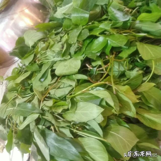 每天吃把山楂对身体有哪些好处?