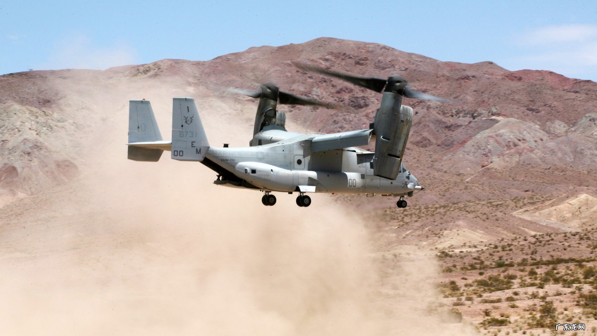 拔罐的效果与原理是什么？