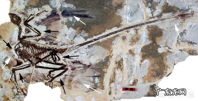 这个夏天你们有没有去水上乐园玩有哪些经验