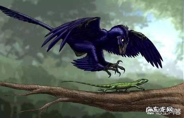 这个夏天你们有没有去水上乐园玩有哪些经验