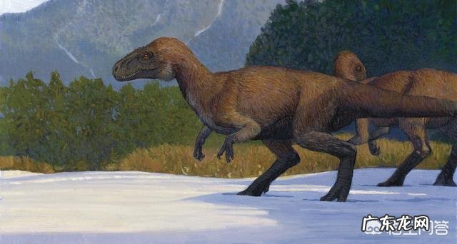 这个夏天你们有没有去水上乐园玩有哪些经验