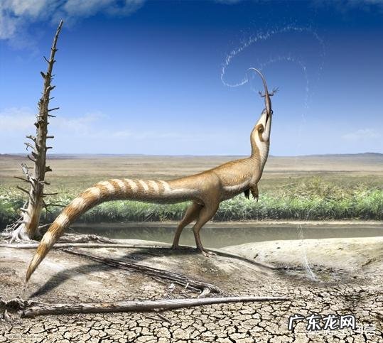 这个夏天你们有没有去水上乐园玩有哪些经验