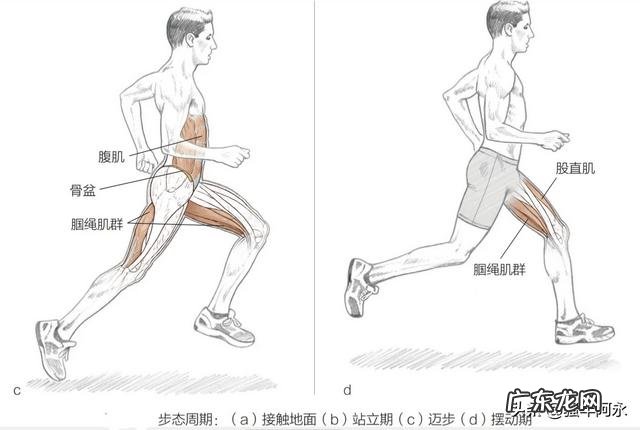 平时多走路,经常多喝水,对我们的身体健康,真的管用吗