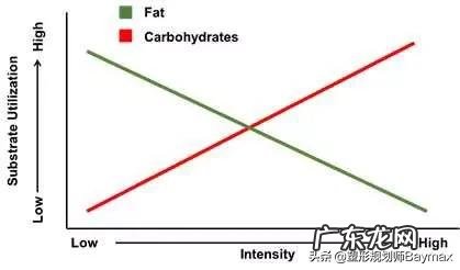 运动30分钟以上才能减脂,是真的吗?