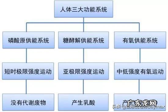 运动30分钟以上才能减脂,是真的吗?