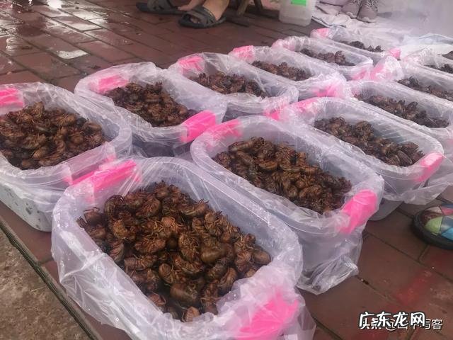 你怎么看新三农自媒体,大前景如何?