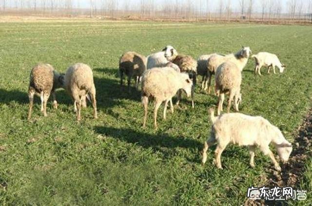 现在的农村为什么人越来越少？ 农村学生越来越少老师出路在哪里