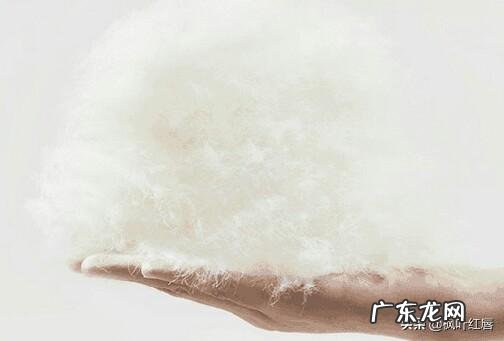 在生活中怎么克服攀比心理？