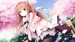 蚕豆不适合什么人吃 什么人不能吃蚕豆