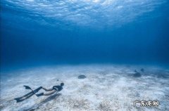 运动减肥如何避免膝关节损伤造成的二次伤害？