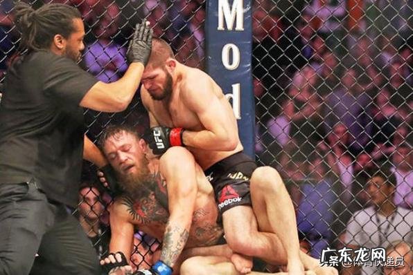 按照k1规则,“嘴炮” 康纳·麦格雷戈能打过播求吗?