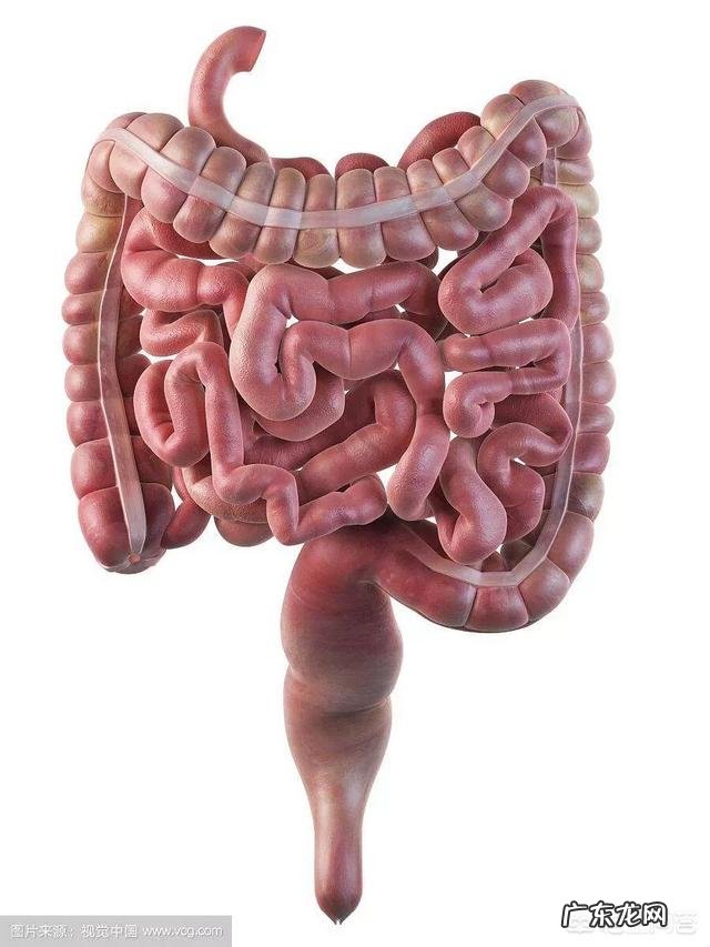 养乐多等益生菌饮料喝了真有益健康吗?有哪些科学的解释?
