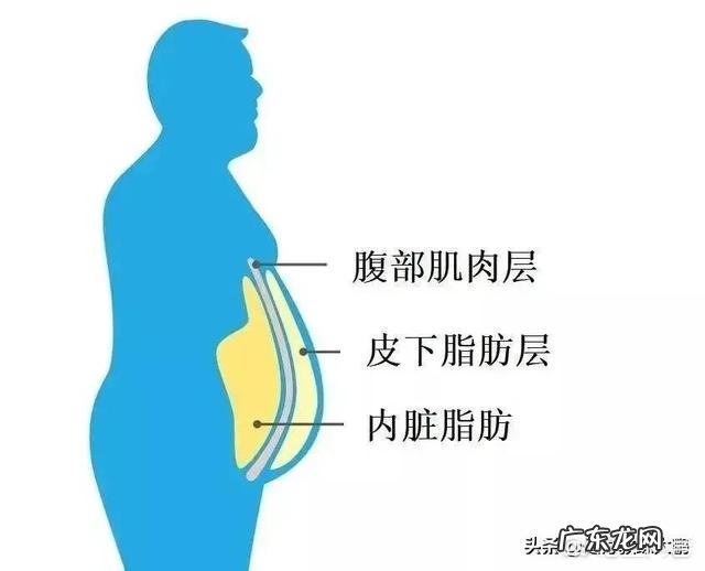 减肥人群都食用什么油？怎么样？