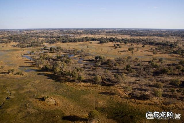既然近亲不能结婚，那地球上最早出现的那2个人如何繁衍