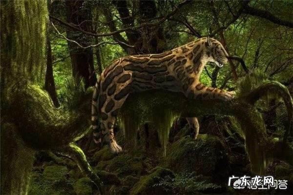 既然近亲不能结婚，那地球上最早出现的那2个人如何繁衍