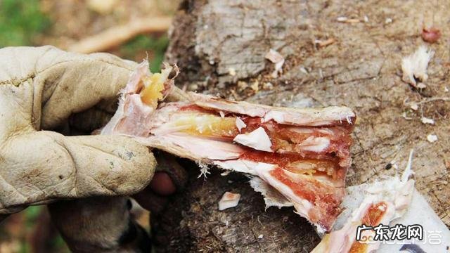 既然近亲不能结婚，那地球上最早出现的那2个人如何繁衍