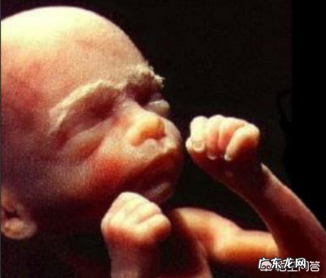 宝宝6个月头围和前门小吗