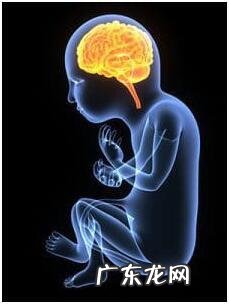 甲减影响怀孕吗,甲减患者该怎么安全备孕