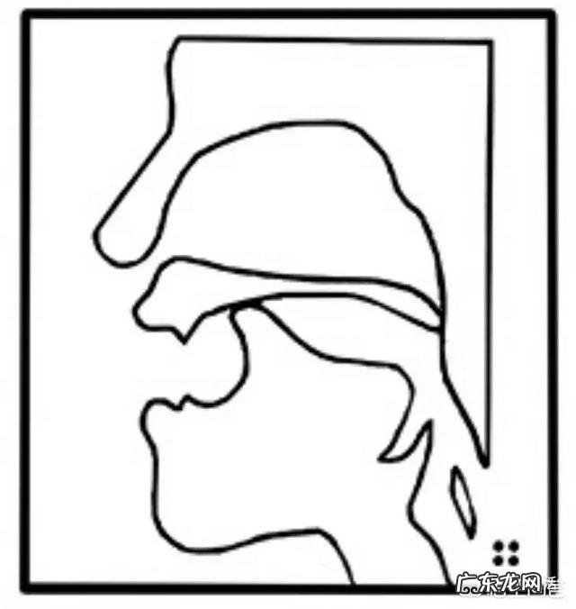 肥胖与高脂血症中美人群有什么异同？