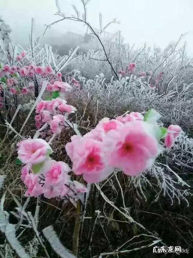 强奸犯的人性有多恶,你知道哪些真实发生的女人被强奸的事?