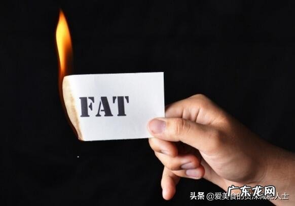 脂肪是由什么组成的脂肪燃烧分解后变成了什么