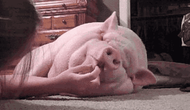 脂肪是由什么组成的脂肪燃烧分解后变成了什么