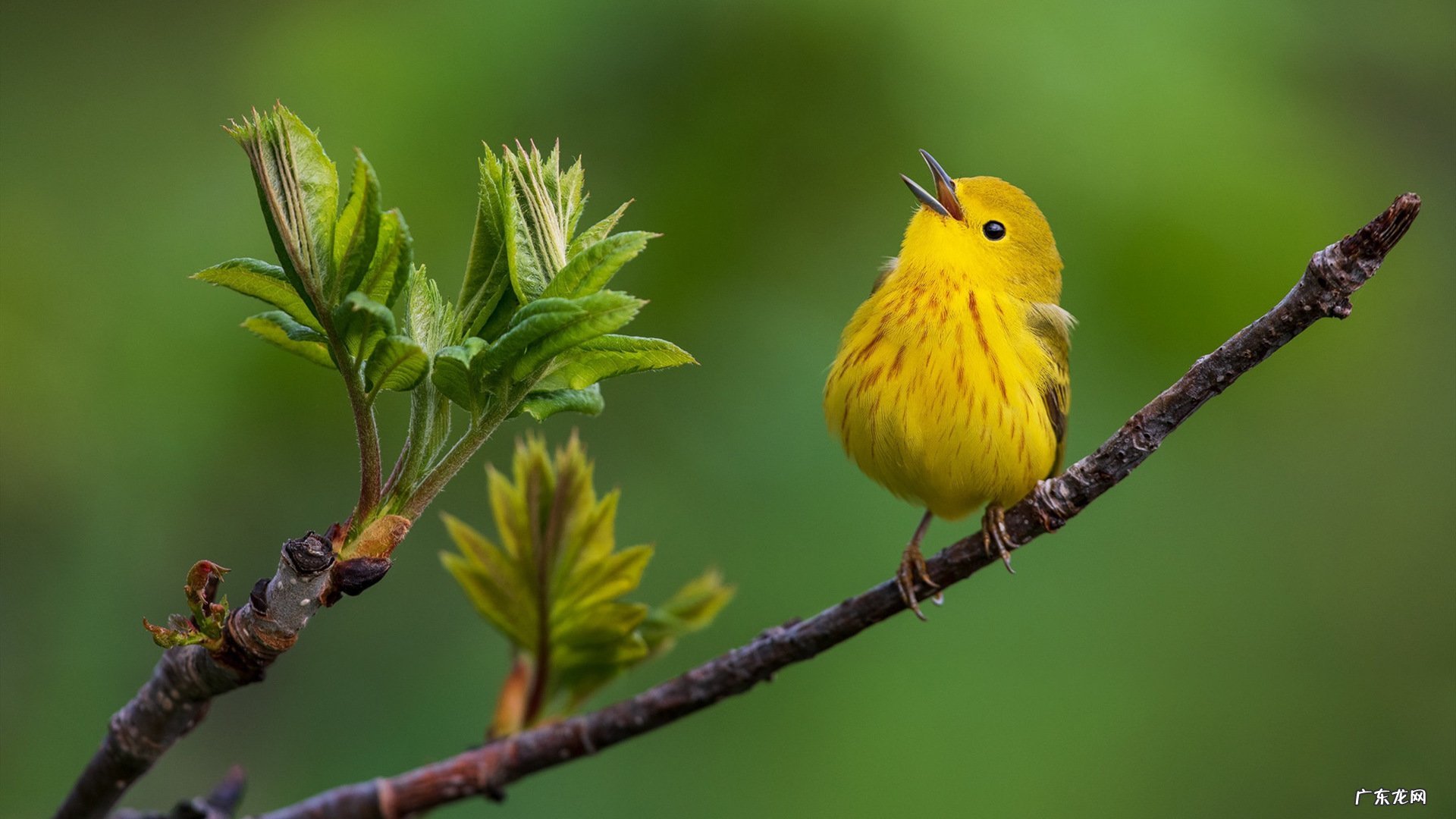 吃减肥药会不会对内脏有伤害