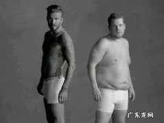 增肌主要需要补充一些什么样的营养？为什么感觉脂肪增的比较多？