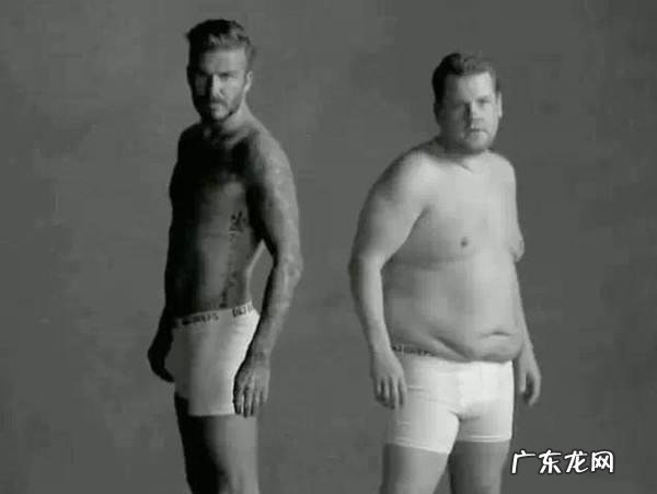 增肌主要需要补充一些什么样的营养?为什么感觉脂肪增的比较多?