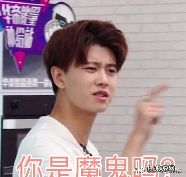 能不能以专业的角度来论证任嘉伦没有整容?