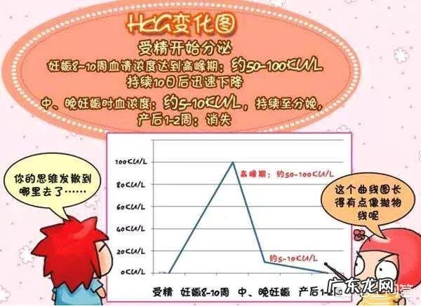 孕妇真的一点酒都不能碰吗