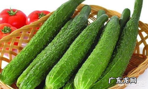 “要想瘦吃黄瓜“有科学依据吗？