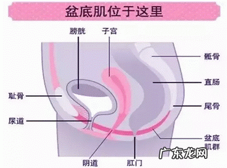 产后42天,盆底肌肉康复训练和瑜伽训练有必要吗? 产后盆底肌康复训练简单方法