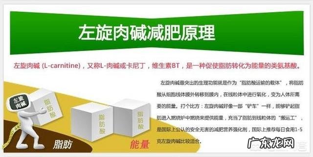 吃左旋肉碱配合增肌训练,可以增肌不增加体脂,甚至减脂吗? 健身可以吃左旋补剂增肌吗