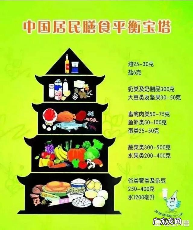 吃糙米能减肥吗?减肥吃什么食物比较合适呢?