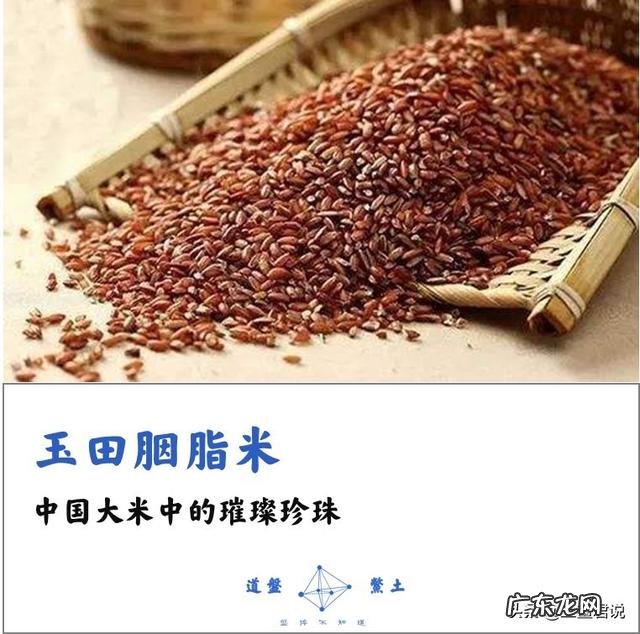 有哪些中国产的顶ji食材?