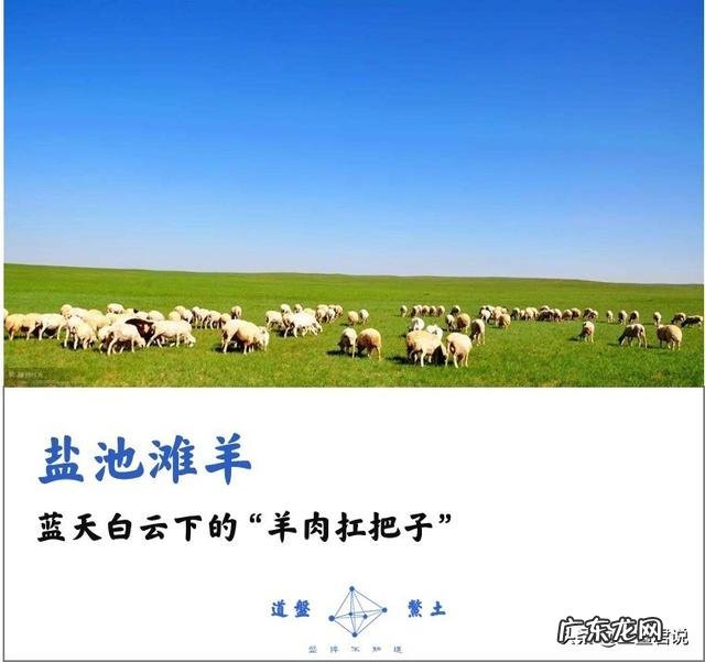 有哪些中国产的顶ji食材?