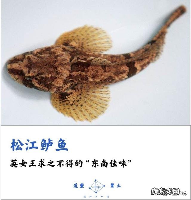 有哪些中国产的顶ji食材?