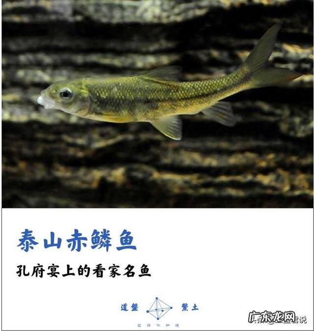 有哪些中国产的顶ji食材?