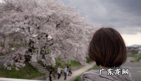 图片 头发剃光后50天照片对比