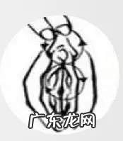 技巧教你揉女人小豆豆 让女人迅速高潮的手指技巧