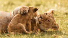 产后瘦身餐有什么原则呢？