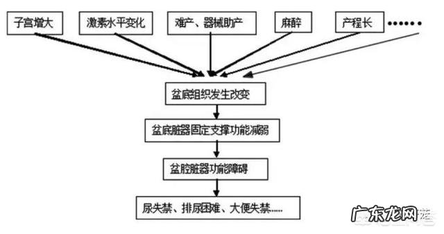 骨盆恢复期是指产后什么时候?如何修复骨盆,减掉大肚子?