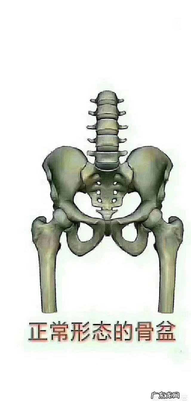 骨盆恢复期是指产后什么时候?如何修复骨盆,减掉大肚子?