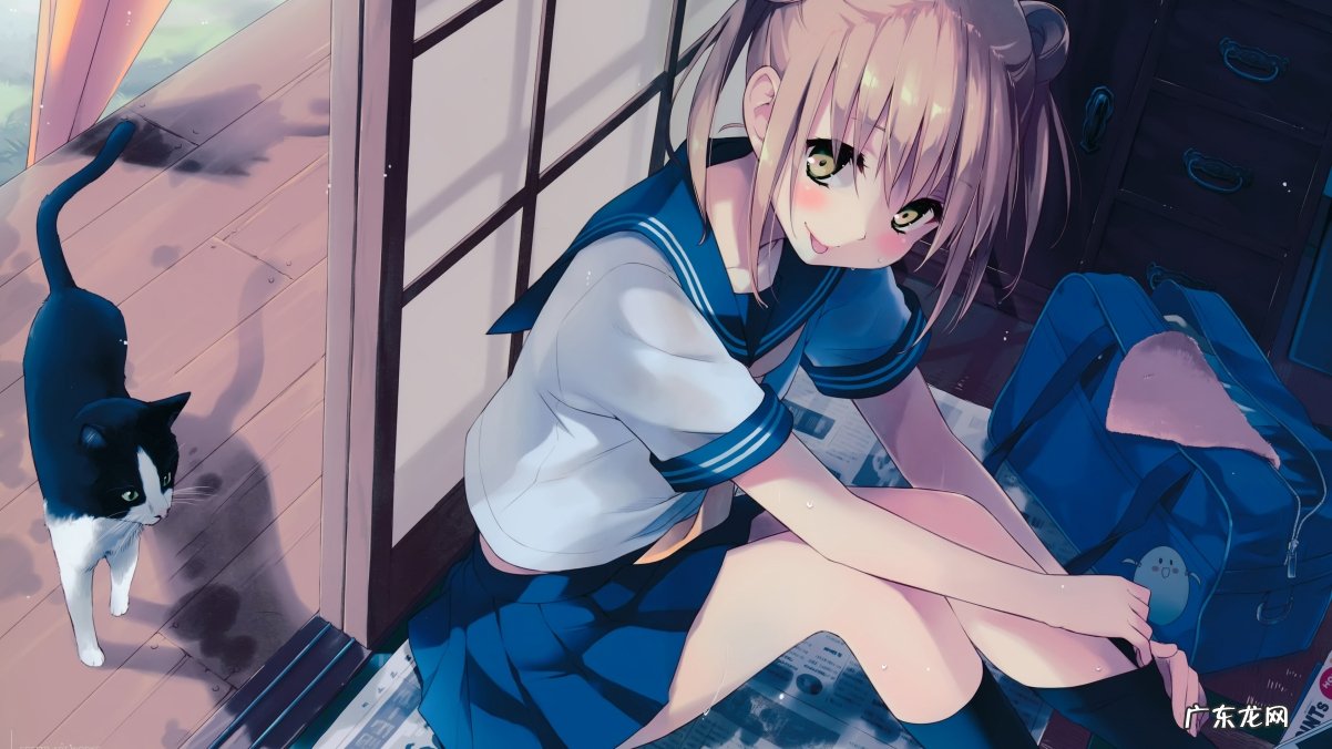 介绍一下V家七宗罪里的初音,巡音……