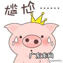 有没有夫妻像我一样凑活着过？