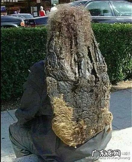 天天洗头发要用洗发水吗 长期洗头不用洗发水头发会变好吗