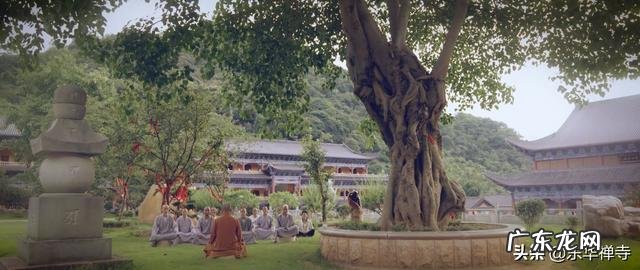 冥想有什么用,怎么才能学会?