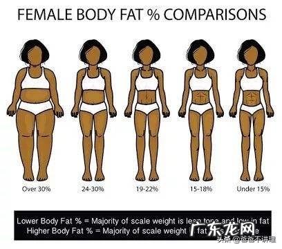 过胖和过瘦会影响备孕吗？